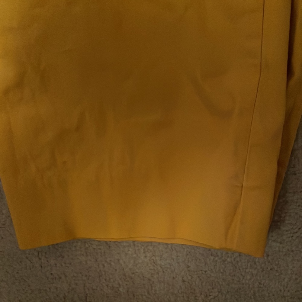 Capris - Picture 4 of 4